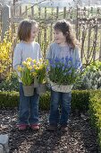 Girl in a cottage garden with Narcissus 'Tete a Tete' (daffodils)