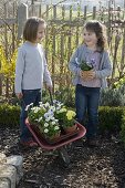 Girl in a cottage garden with Bellis and Viola