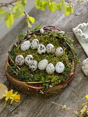 Osternest mit beschrifteten Wachteleiern: frohe Ostern!