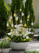 White-yellow planted bowl decorated with dogwood for Easter