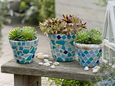Covering clay pots with turquoise mosaic 5/5
