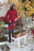 Girl planting in a box with horned violets and tulip bulbs (3/4)