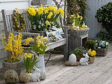 Osterterrasse mit Forsythia 'Lynwood Gold' (Goldglöckchen), Narcissus