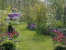 Rasenweg zwischen Frühlingsbeeten mit Tulpen