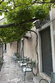 Roof-grown vine (Vitis vinifera) for shade