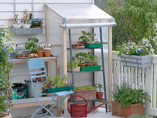 Selbstgebautes kleines Folien-Gewächshaus zur Anzucht auf dem Balkon