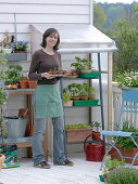 Self-made small foil greenhouse for growing on the balcony