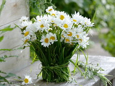 Grass-covered glass as a vase (3/3)