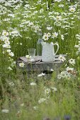 Alte Weinkiste umgedreht als Tisch in Margeriten-Wiese