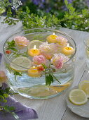 Rosa (Rosen - Blüten), Citrus limon (Zitronenscheiben) und Zitronenverbene