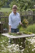 Young woman tying a bouquet of meadow flowers (1/2)