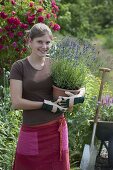 Junge Frau hält Topf mit Lavendel (Lavandula) im Arm