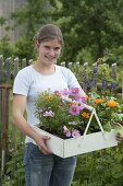 Junge Frau pflanzt Sommerblumen-Beet 1/4