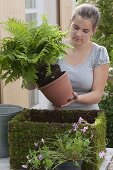 Make your own wire and moss planter box (9/10)