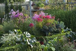 Cottage garden with perennials, vegetables and box hedge