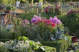 Cottage garden with perennials, vegetables and box hedge