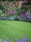 Blue garden: delphinium, ornamental leek, digitalis, ornamental sage