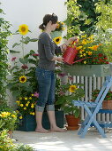 Summer flowers - balcony with yellow-red sowing box