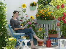 Sommerblumen-Balkon mit gelb-rotem Aussaat-Kasten