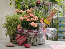 Geschenkekorb mit Dianthus caryophyllus (Nelken), Oregano