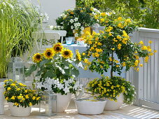 White-yellow summer balcony