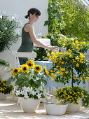 White-yellow summer bouquet