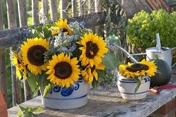 Bouquet of Helianthus (sunflowers) and Borage (Borago)