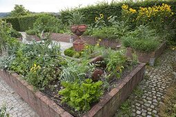 Raised beds with vegetables and flowers