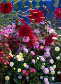 Summer bed with annuals