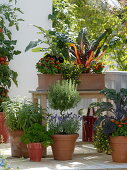 Vegetables and herbs on the balcony