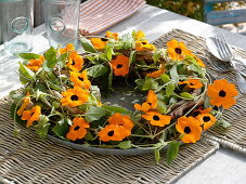 Kranz aus Zweigen mit Ranken der Thunbergia alata