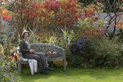Semi-circular bench in front of autumn bed with Arundo donax 'Versicolor'