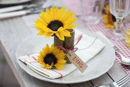 Table decoration with sunflowers and sacaline