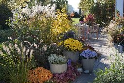 Autumn terrace terrace with planted pots pepped up