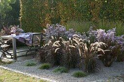 Gravel bed with grasses and perennials
