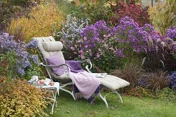 Lying boys on an autumn bed with asters and grasses