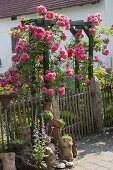 Artist's garden: Climbing roses at the entrance to the cottage garden