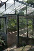 Artist's garden: Greenhouse