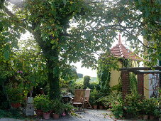 Künstlergarten: Terrasse unterm Walnußbaum