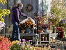 Autumn design at the garden house