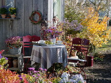 Set table at the garden house