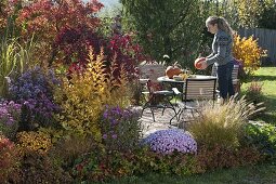 Herbstbeet mit Gehölzen in Herbstfärbung und Stauden