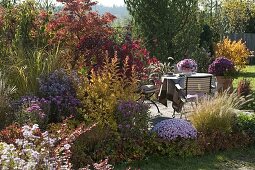 Herbstbeet mit Gehölzen in Herbstfärbung und Stauden