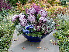 Grave bowl planted with Chrysanthemum grandiflorum 'Malabar'