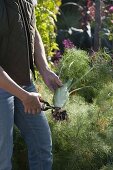 Farm garden through the year, from planting to harvesting