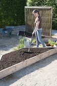 Planting trapezoidal beds as a vegetable and herb garden