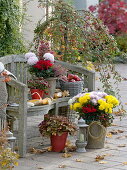 Autumnal terrace with wooden bench