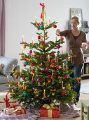 Abies nordmanniana (Nordmann fir) as decorated Christmas tree