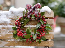 Wreath of Ilex (holly) with checkered ribbon