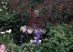 Wall fountain with gargoyle